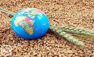 چرا دنیا درگیر بحران غذا و انرژی است؟